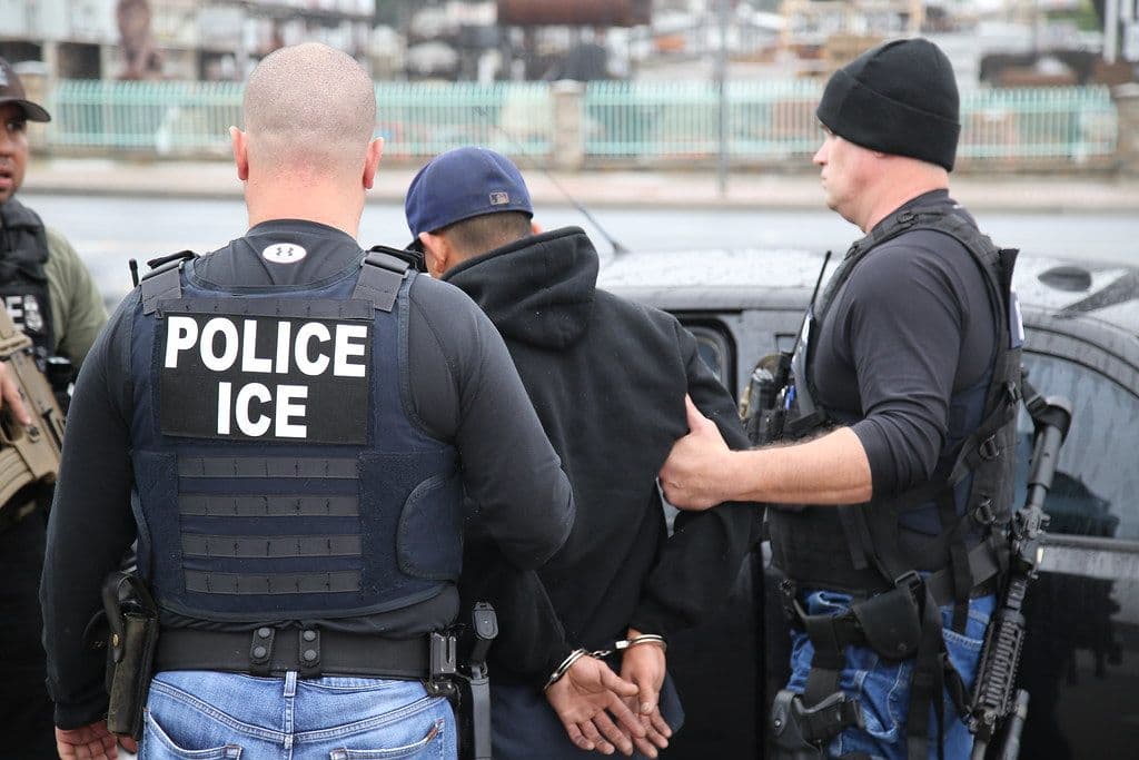 Фото: пресс-служба US Immigration and Customs Enforcement