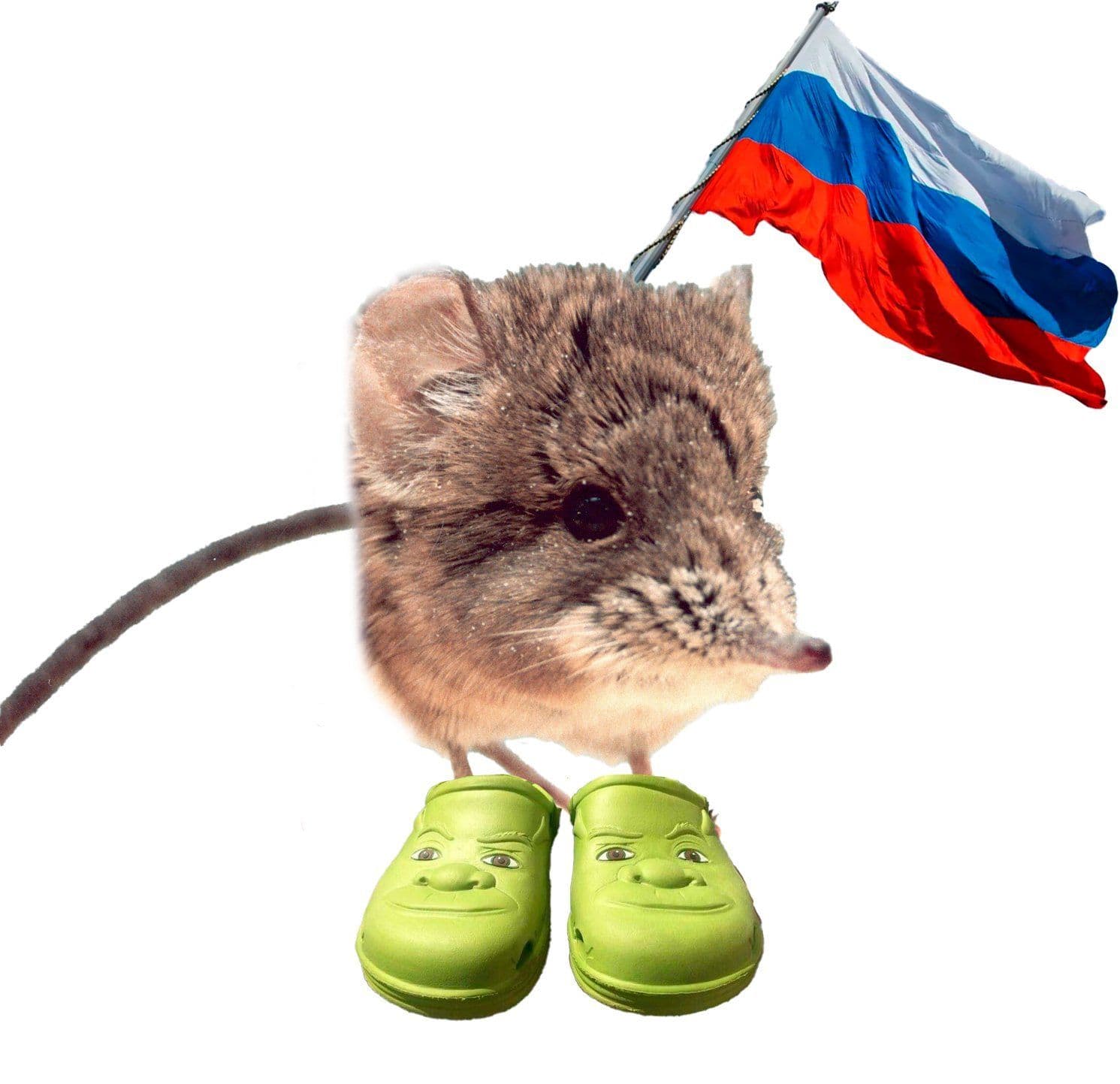 Коллаж: Егор Бланский в X