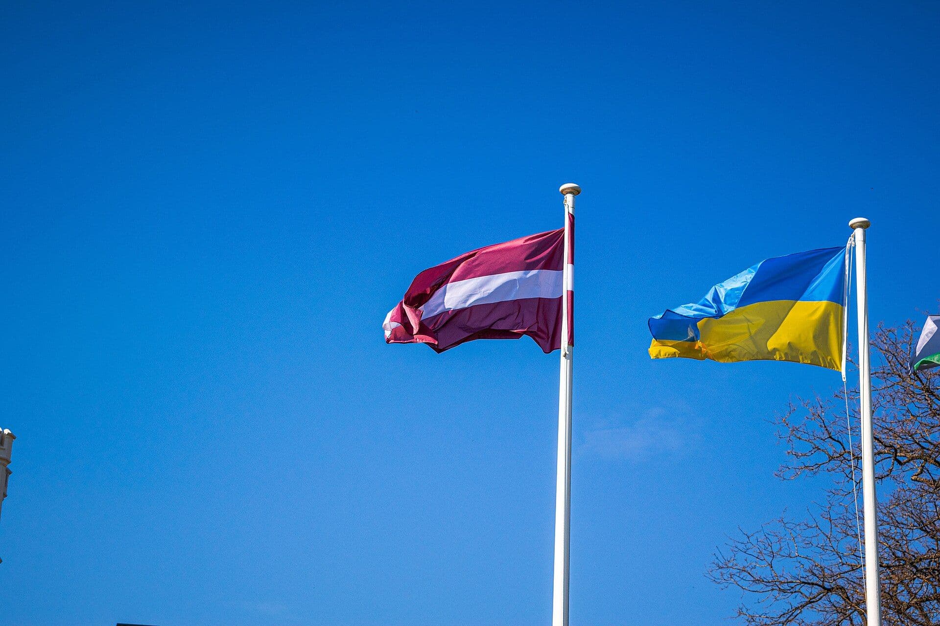 Фото: Wikimedia Commons