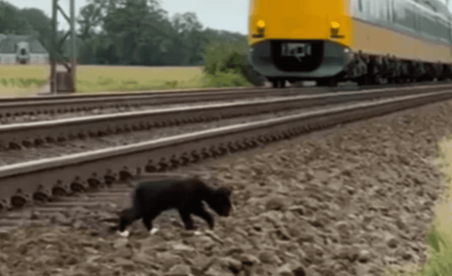 Фото: ProRail