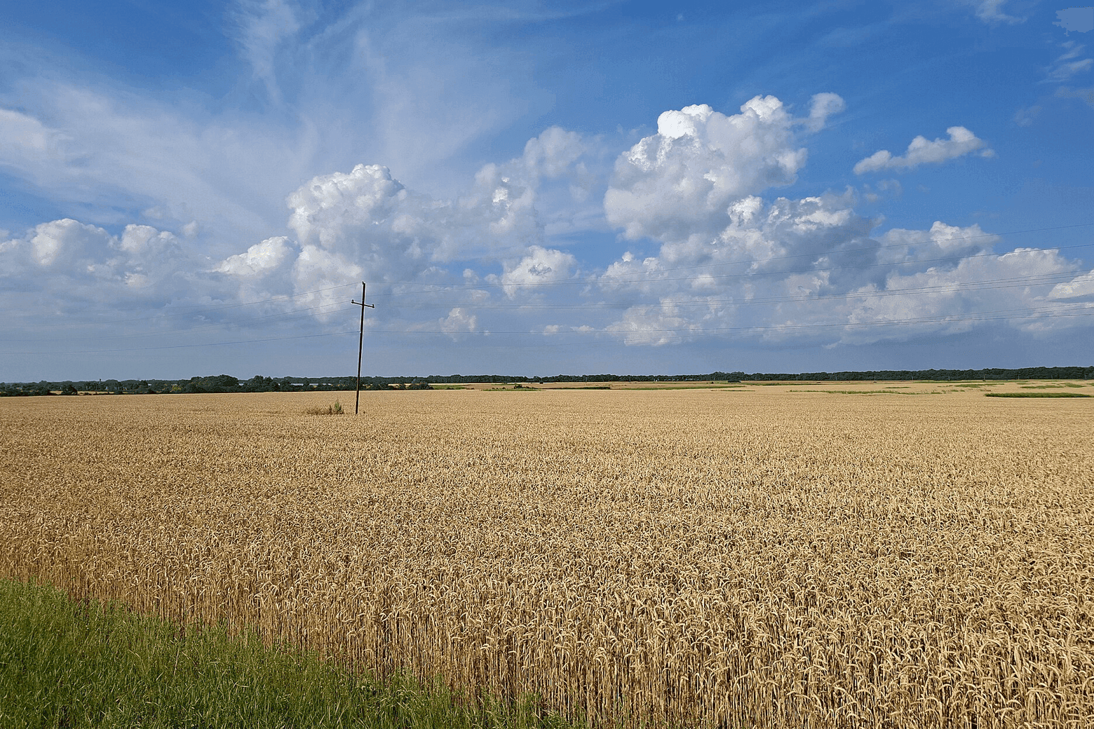 Фото: Wikimedia Commons