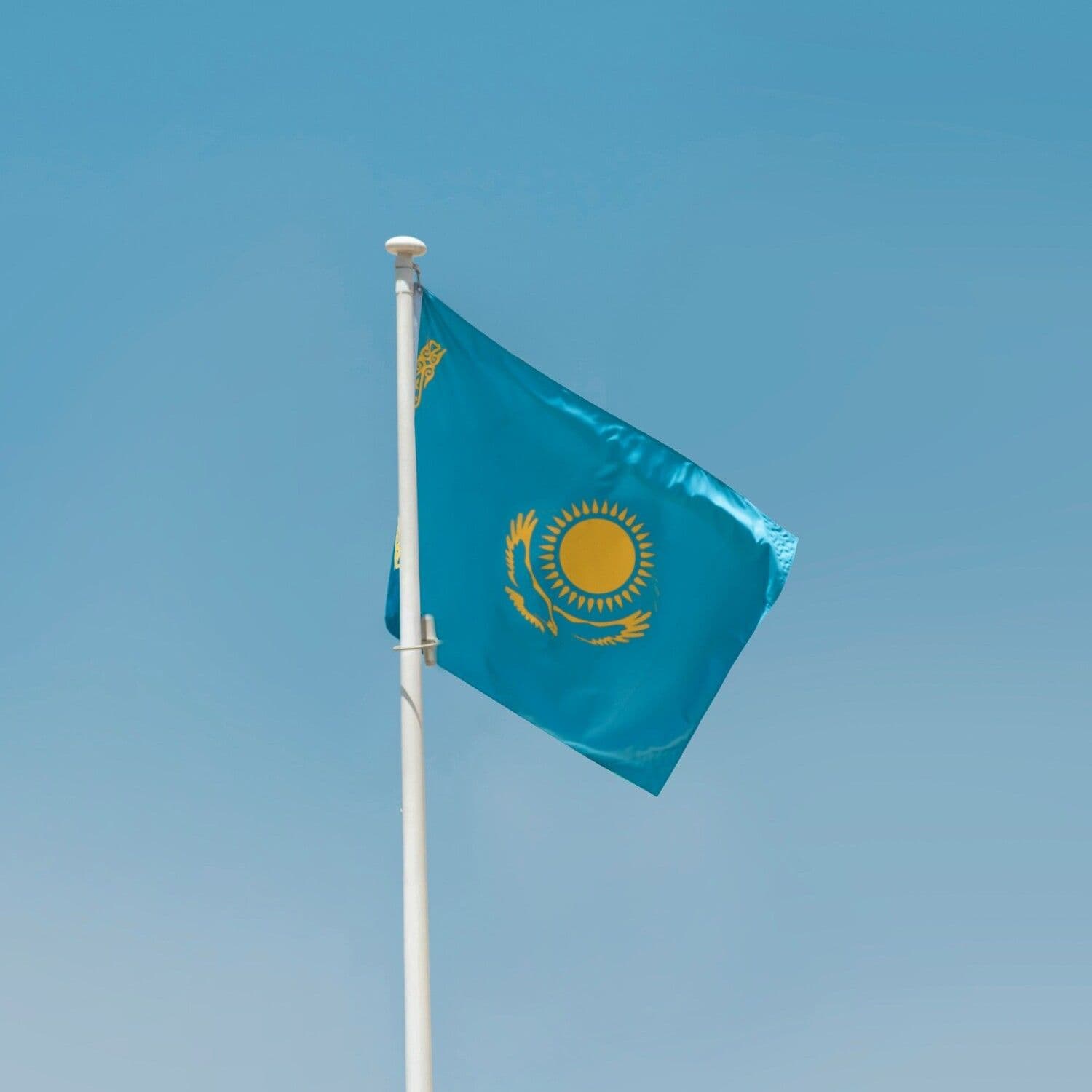 Иллюстративное фото: aboodi vesakaran / Unsplash