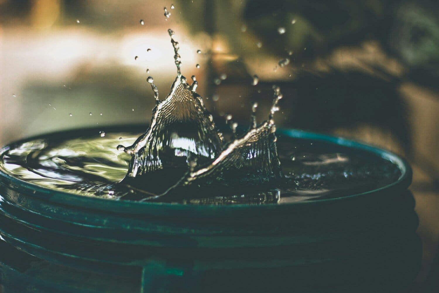Иллюстративное фото: Amritanshu Sikdar / Unsplash