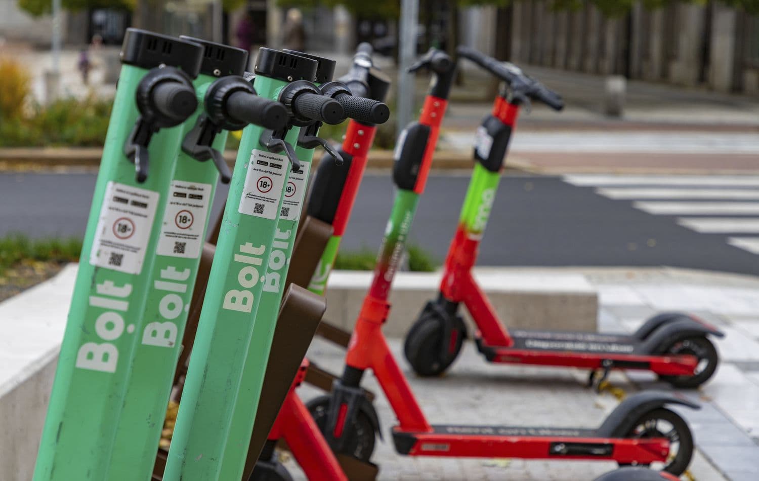 Иллюстративное фото: Bruno Coelho / imageBROKER / Forum