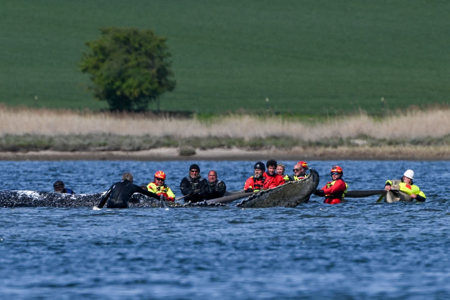 Фото: Annegret Hilse / Reuters / Forum