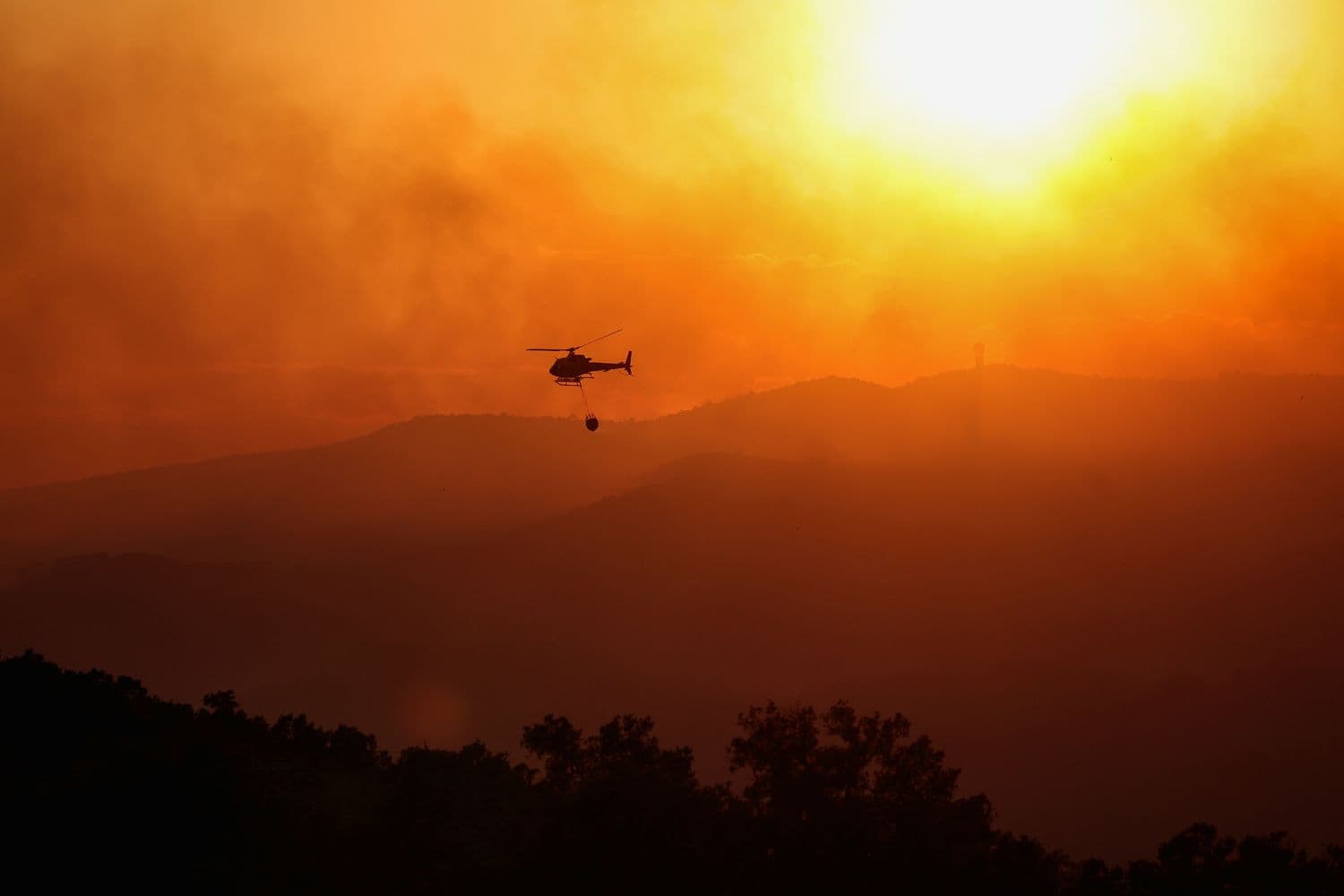 Фото: Bruna Casas / Reuters / Forum