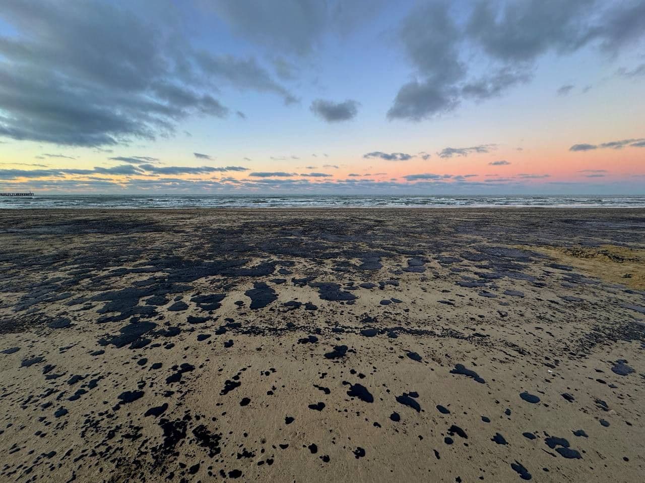 Покрытый мазутом пляж. Фото: Александр Черных / Телеграм