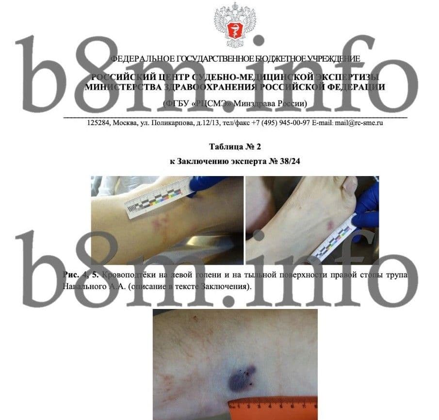 Фрагмент документа. Скриншот: Black8Mirror