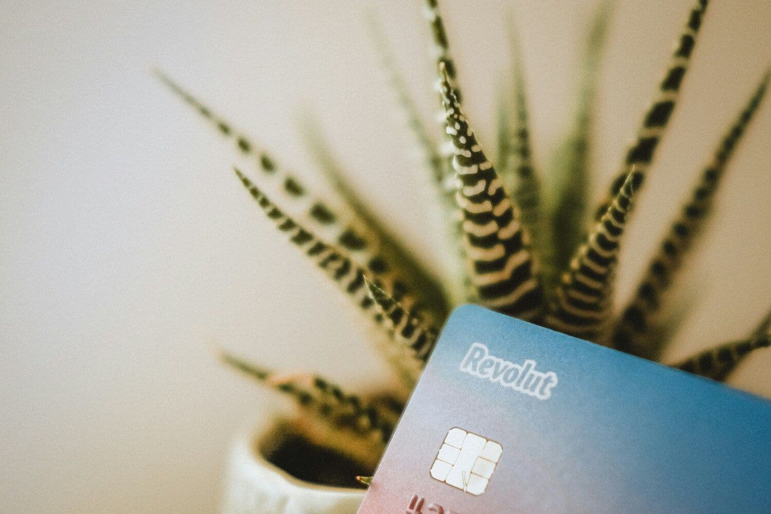 Иллюстративное фото:  Sophie Dupau / Unsplash