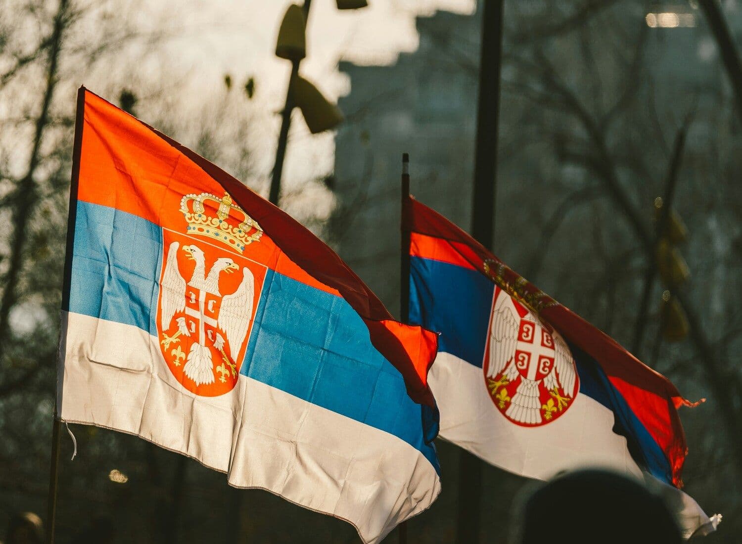 Иллюстративное фото:  Stefan Kostić / Unsplash