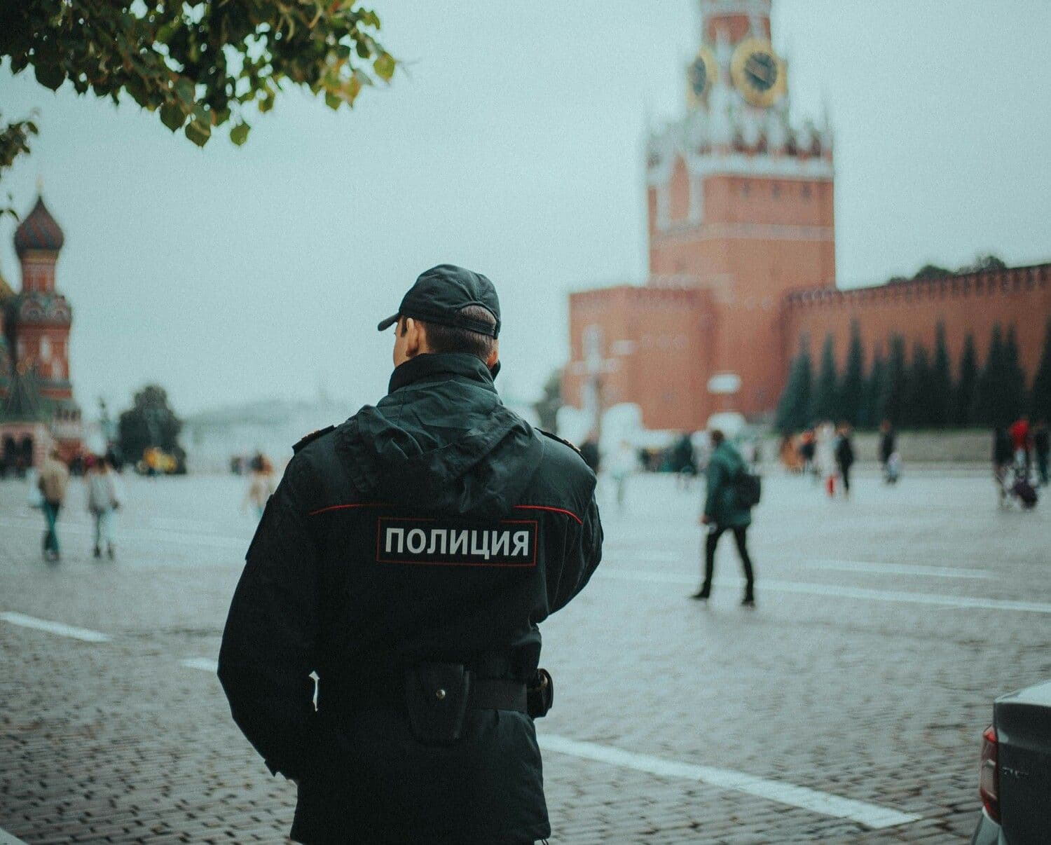 Иллюстративное фото: Mira Kireeva / Unsplash