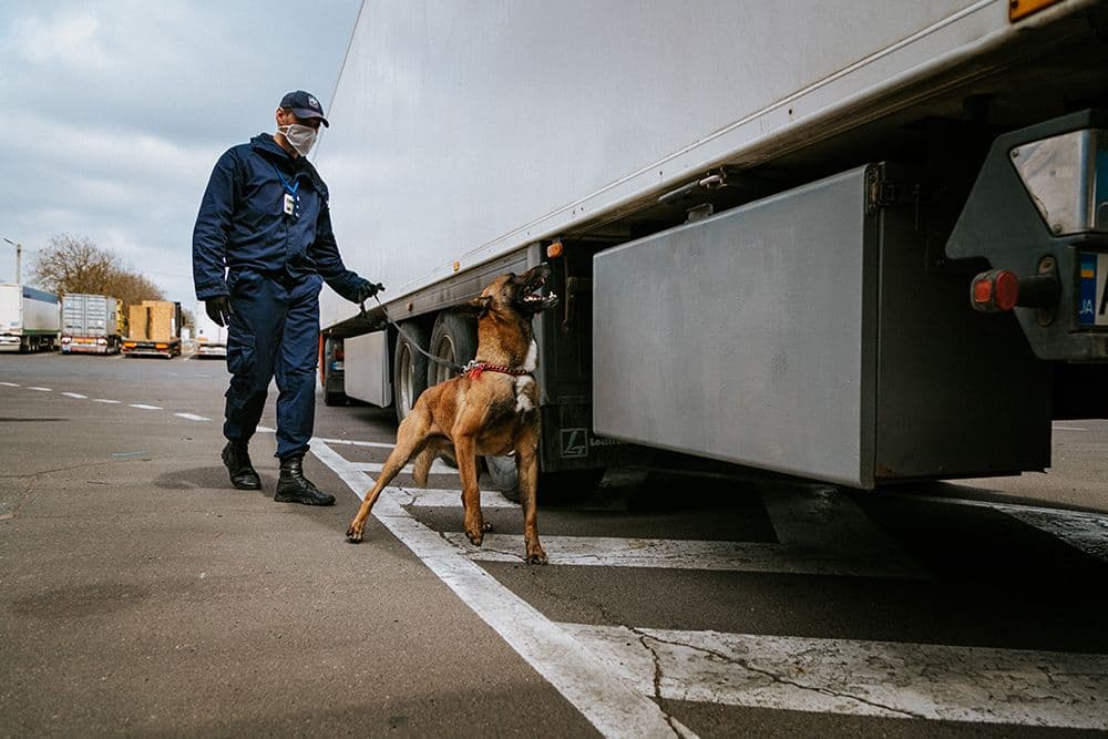 Иллюстративное фото: POLIȚIA DE FRONTIERĂ A REPUBLICII MOLDOVA