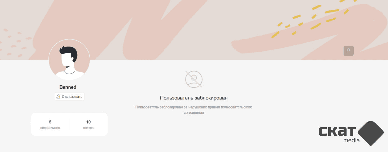 Скриншот: Скат media