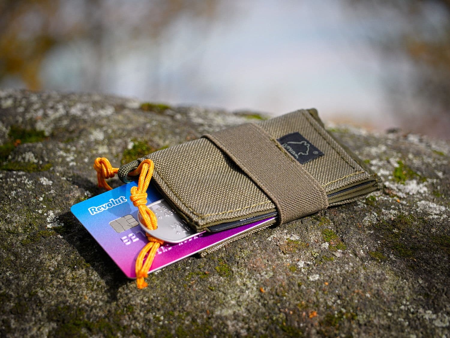 Фото: Wikimedia Commons