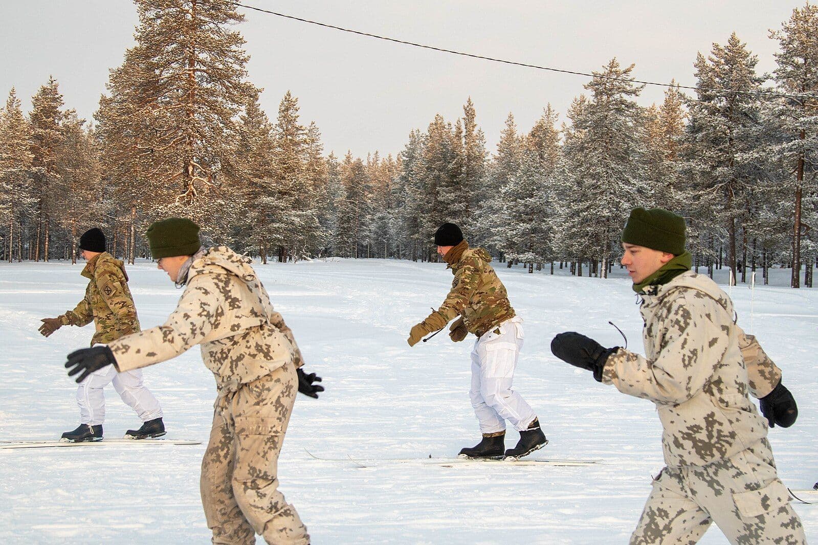 Фото: Wikimedia Commons