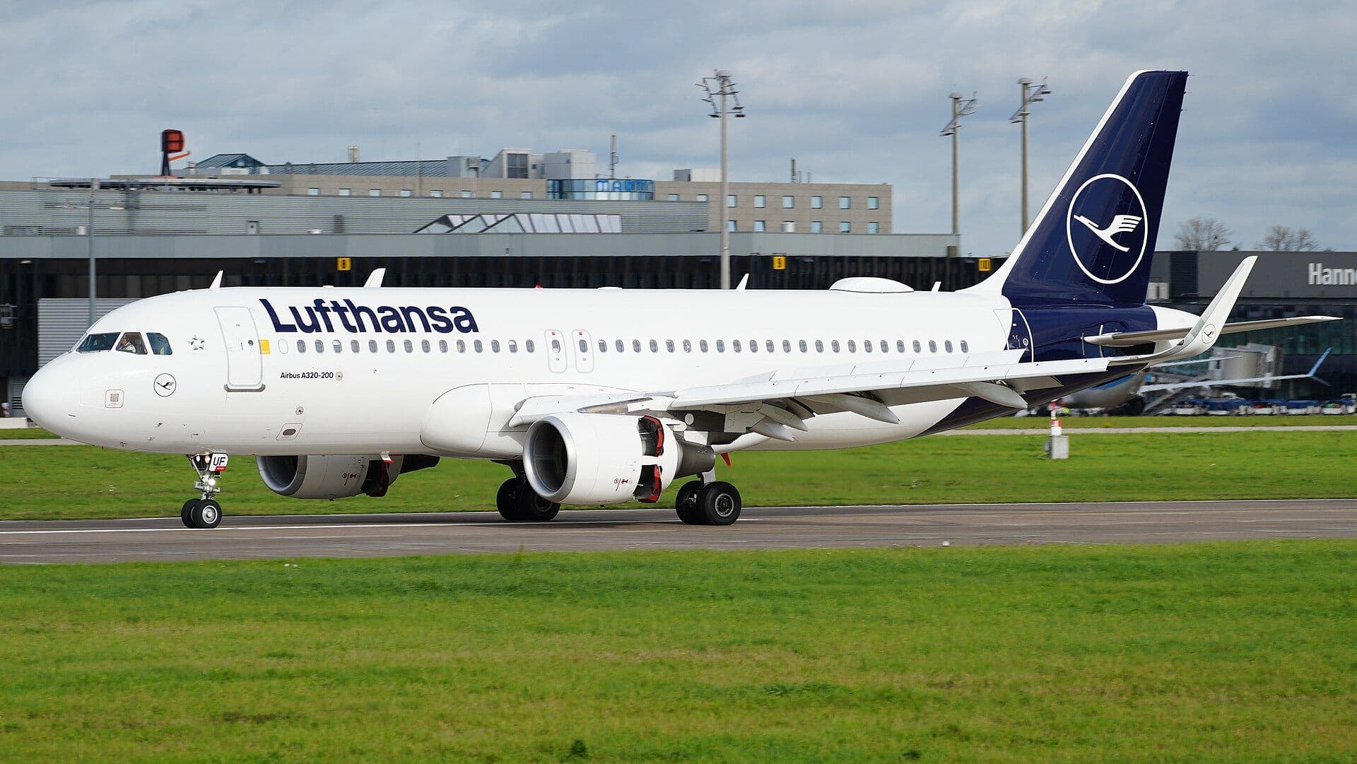 Фото: Wikimedia Commons