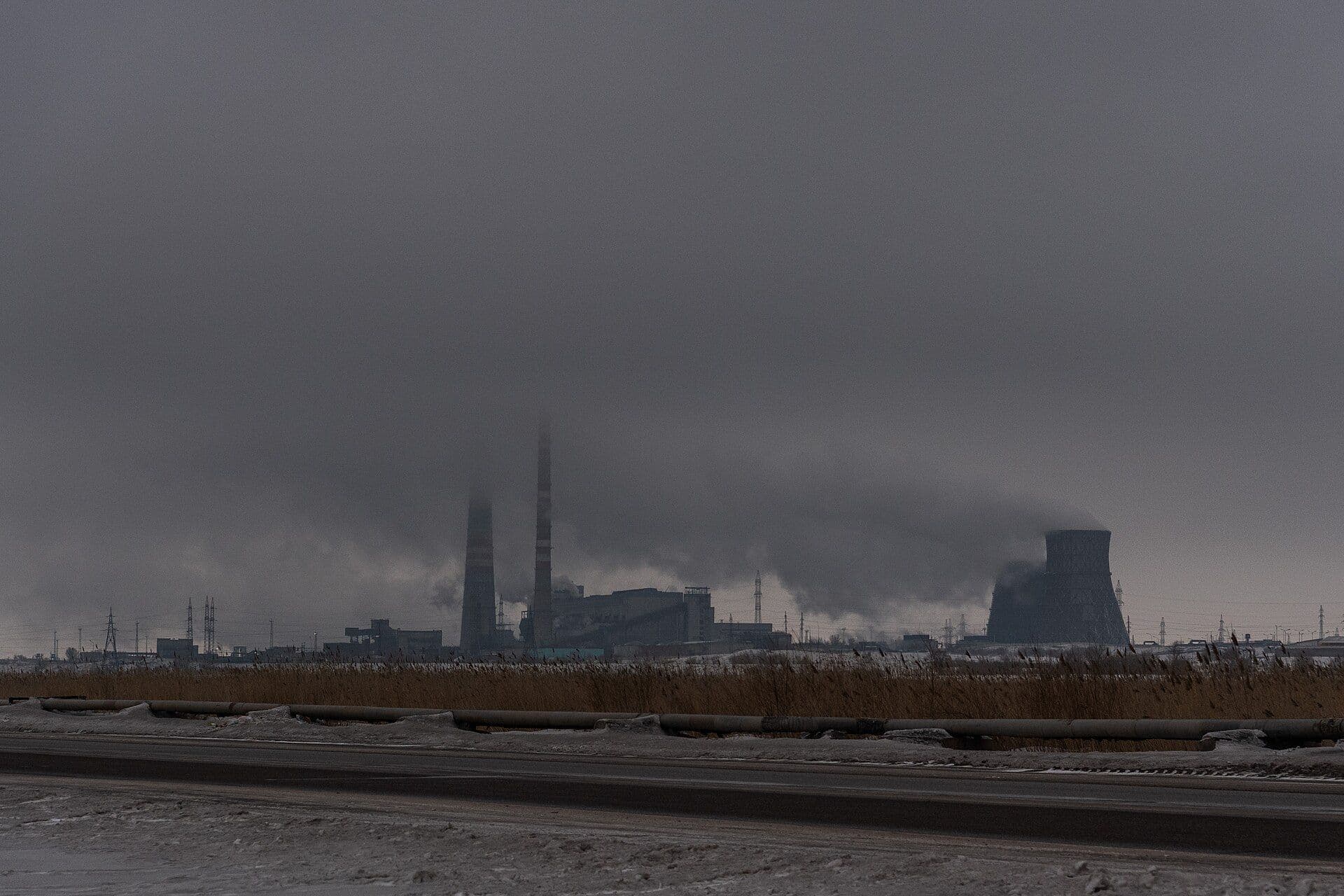 Фото: Wikimedia Commons