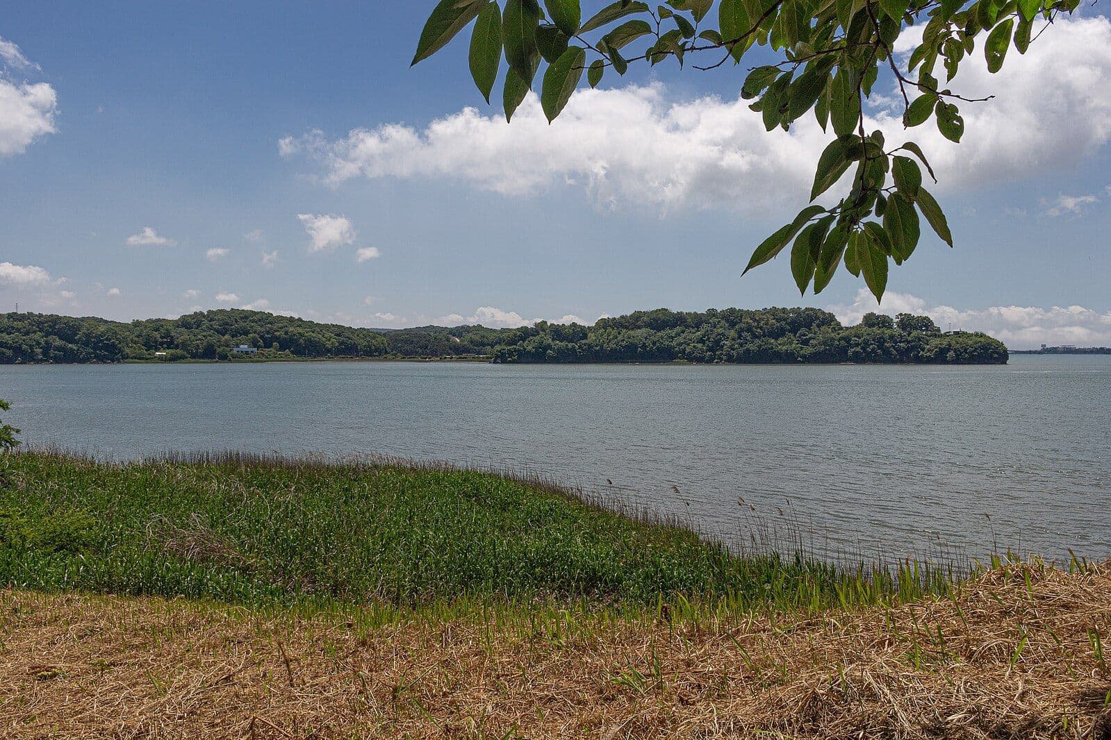 Фото: Ganghwa Island / Wikimedia Commons