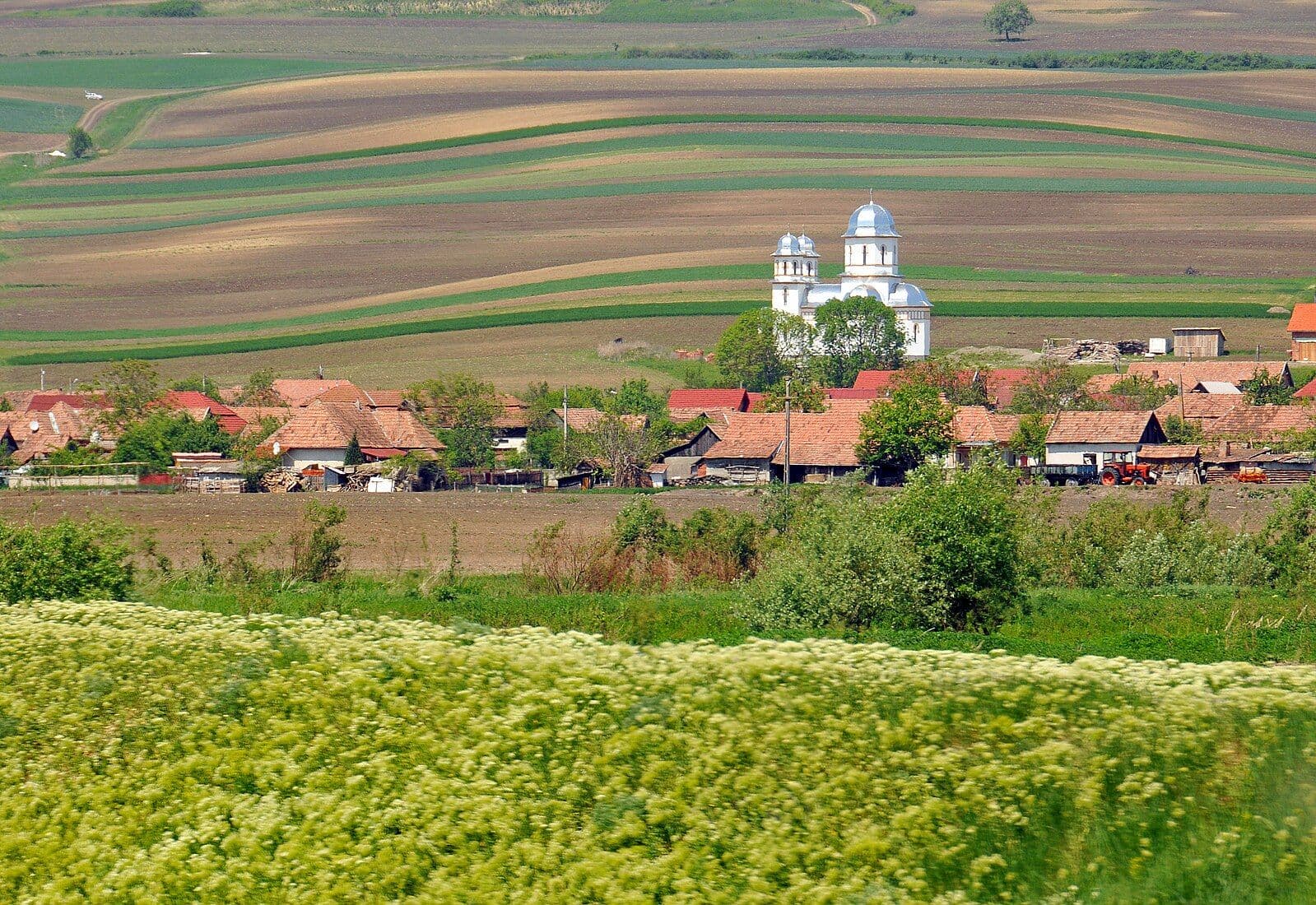 Фото: Wikimedia Commons
