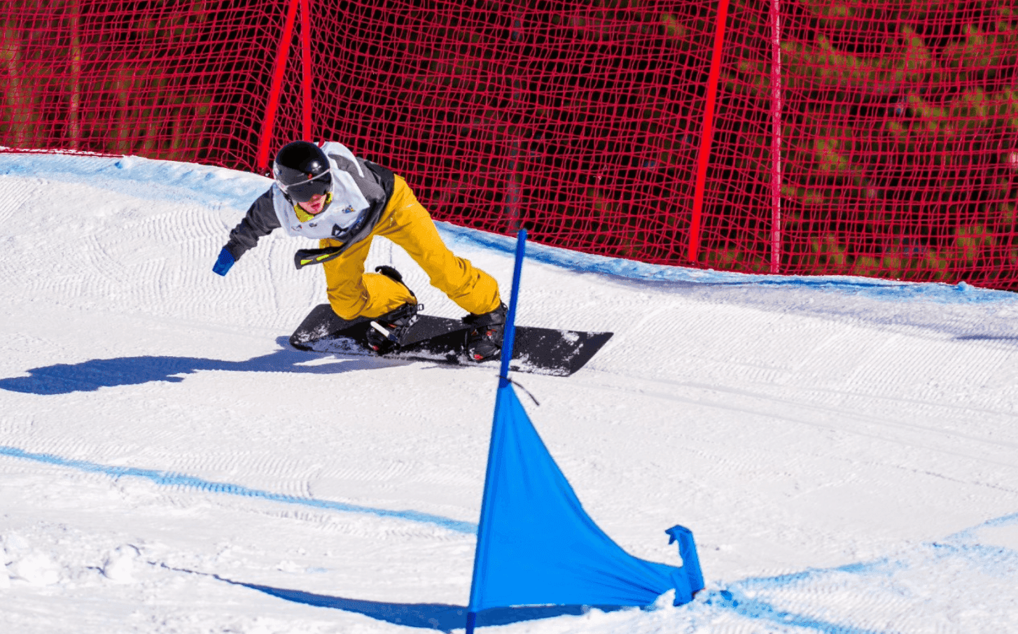 Фото: Параолимпийский комитет России