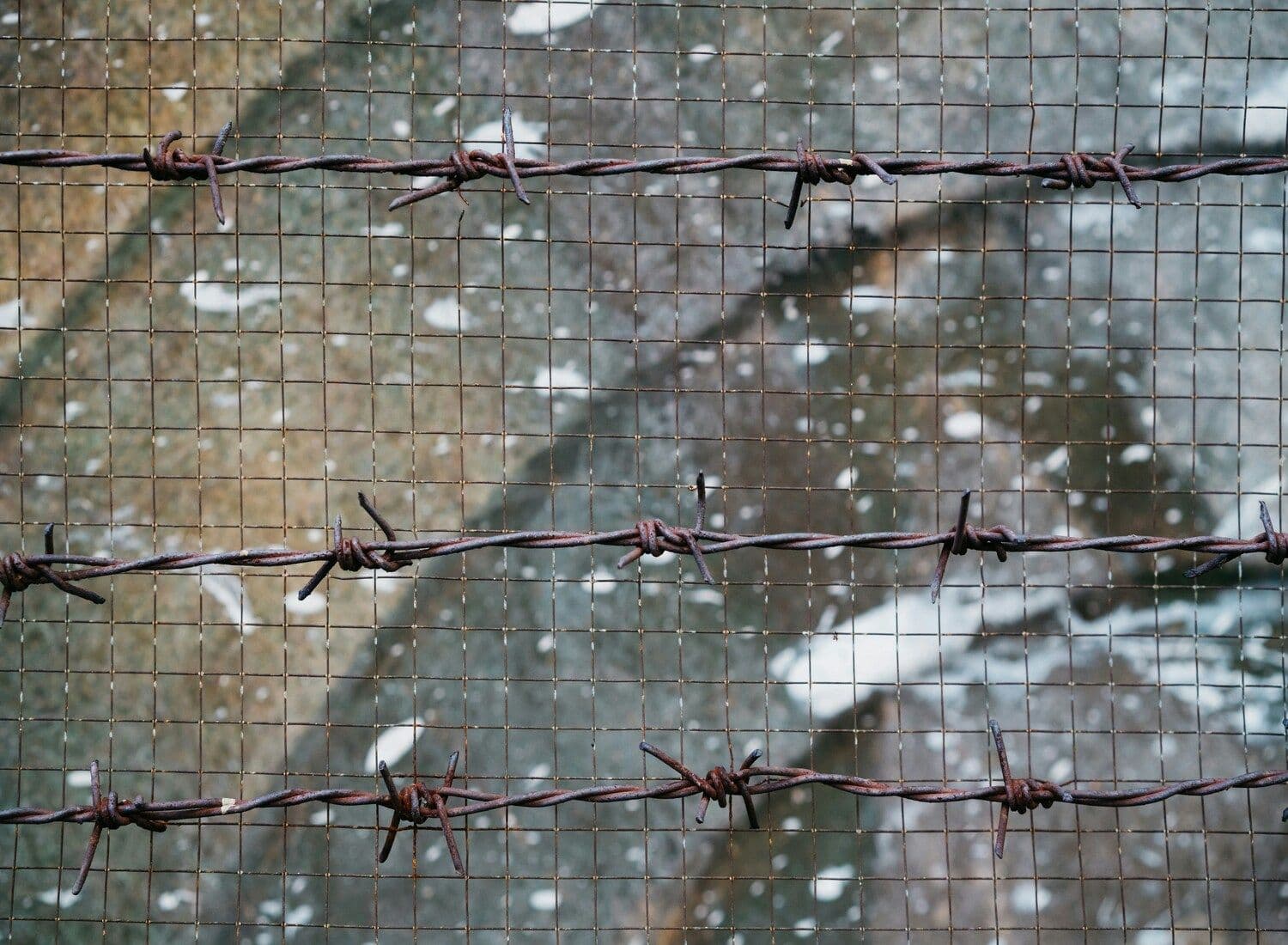Иллюстративное фото: Markus Winkler / Unsplash