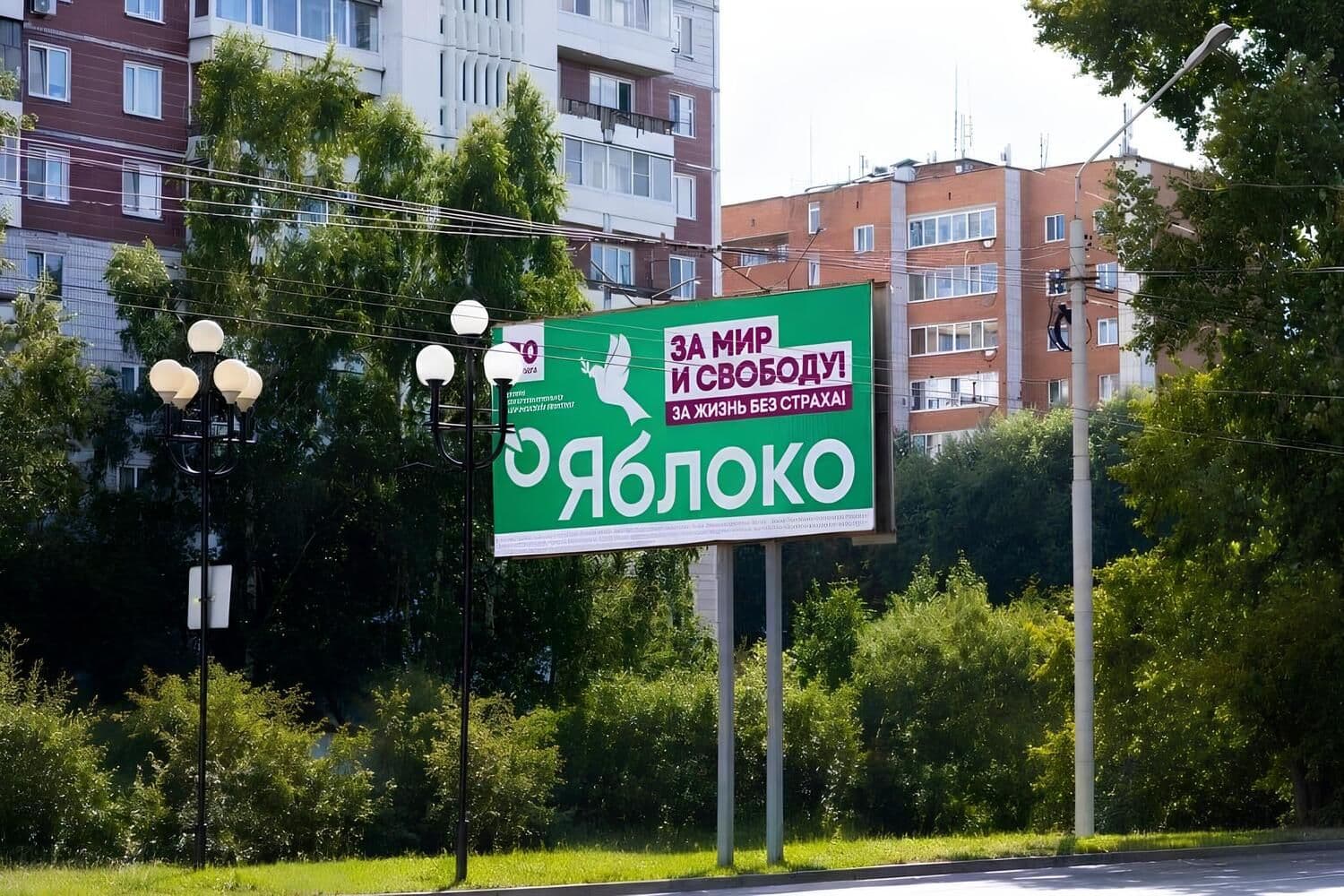 Фото: партия «Яблоко»